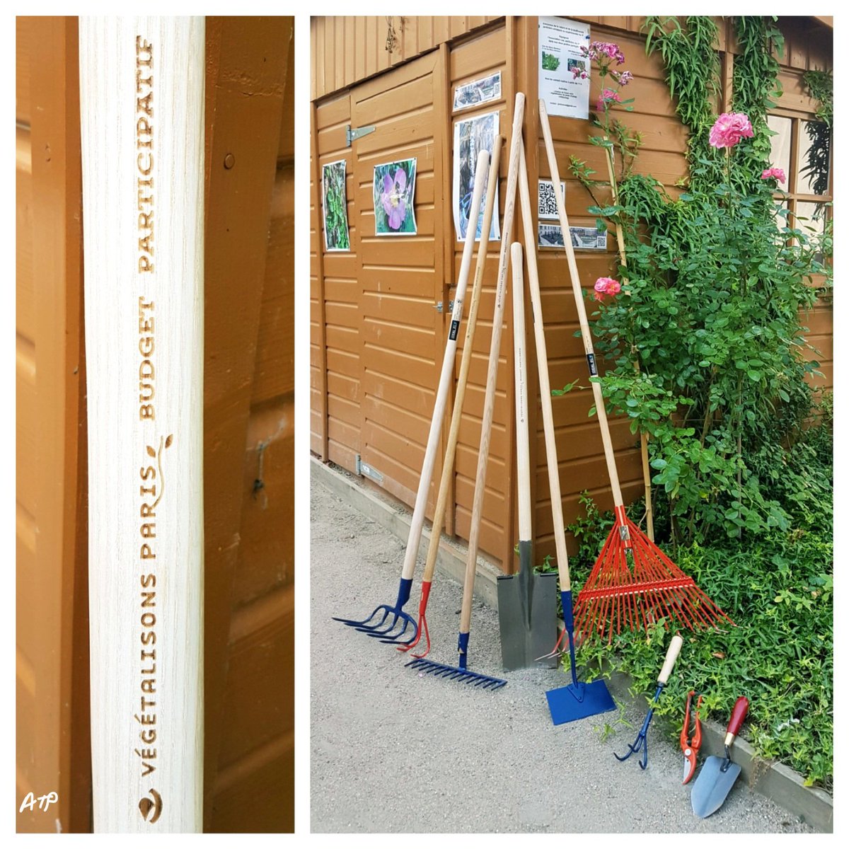 JardiniersDu4em's tweet photo. Les outils donnés par la Mairie du 4, ont été déposés dans notre cabane au fond du jardin. Merci @Mairiedu4e   @vegetalisons #biodiversite https://t.co/iNS1TIPTEP