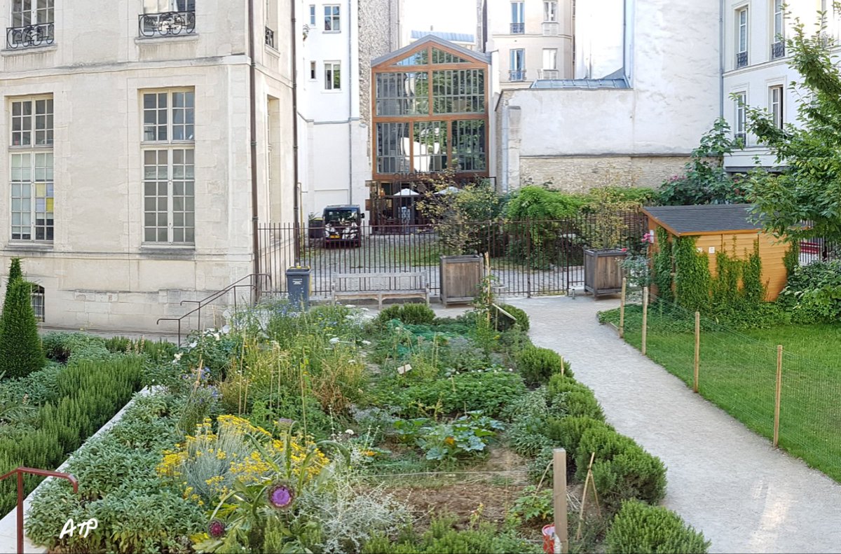 JardiniersDu4em's tweet photo. Les outils donnés par la Mairie du 4, ont été déposés dans notre cabane au fond du jardin. Merci @Mairiedu4e   @vegetalisons #biodiversite https://t.co/iNS1TIPTEP
