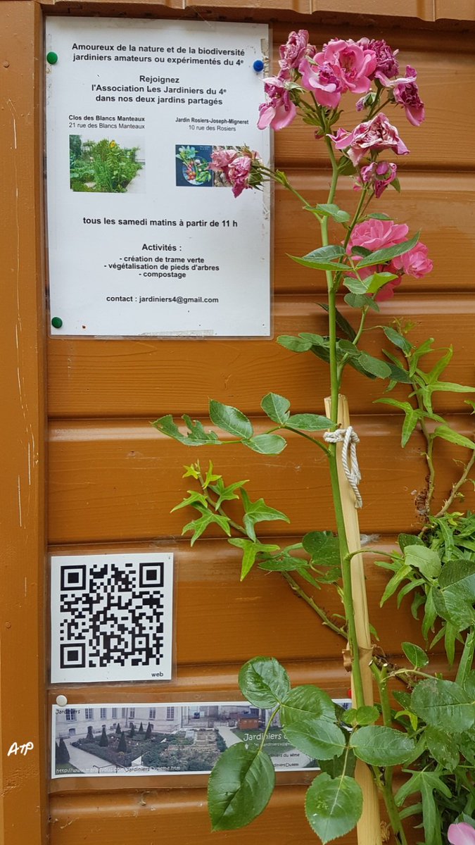 JardiniersDu4em's tweet photo. Les outils donnés par la Mairie du 4, ont été déposés dans notre cabane au fond du jardin. Merci @Mairiedu4e   @vegetalisons #biodiversite https://t.co/iNS1TIPTEP