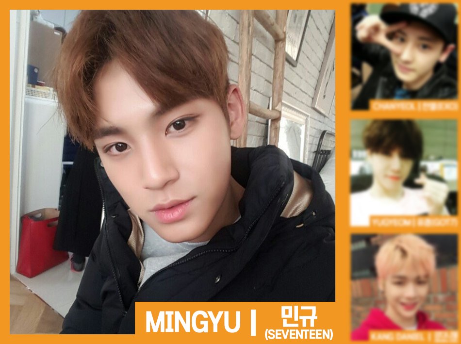 1theK's tweet photo. [RT it!] Which idol looks like a gentle large dog?🐶 대형견미 낭낭한 남자아이돌은? #MINGYU #민규 #SEVENTEEN #세븐틴 https://t.co/FlwFt8vJlc