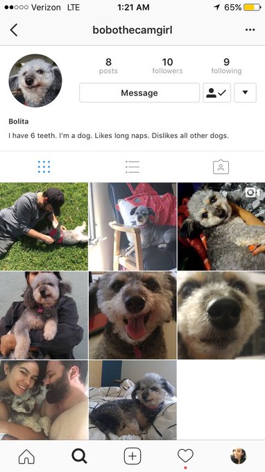 OHMYGODYALL THE SECOND BEST DOG EVER HAS HER OWN INSTAGRAM ? https://t.co/CXwB8C5ttX