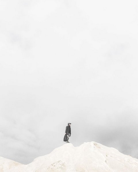 Blueberries tweet media