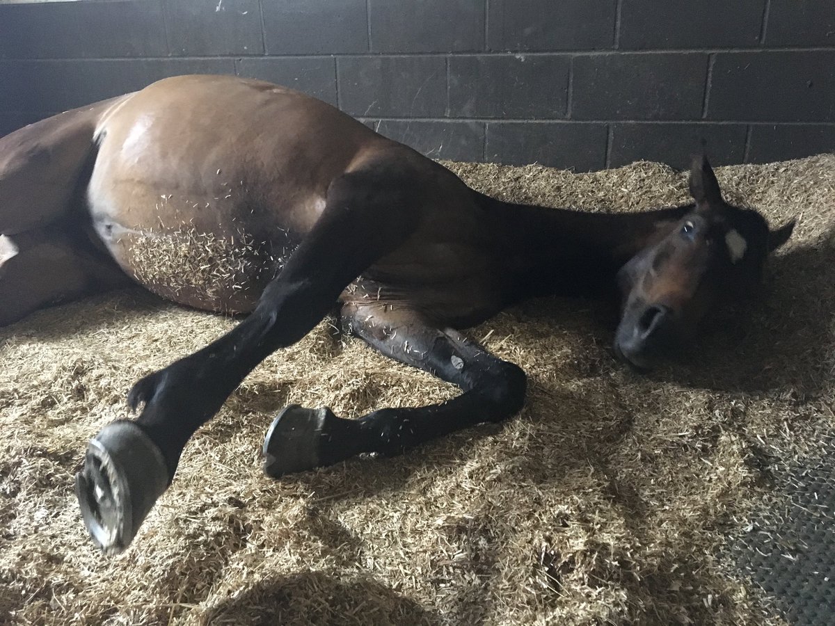 Keith Chegwin tweet media