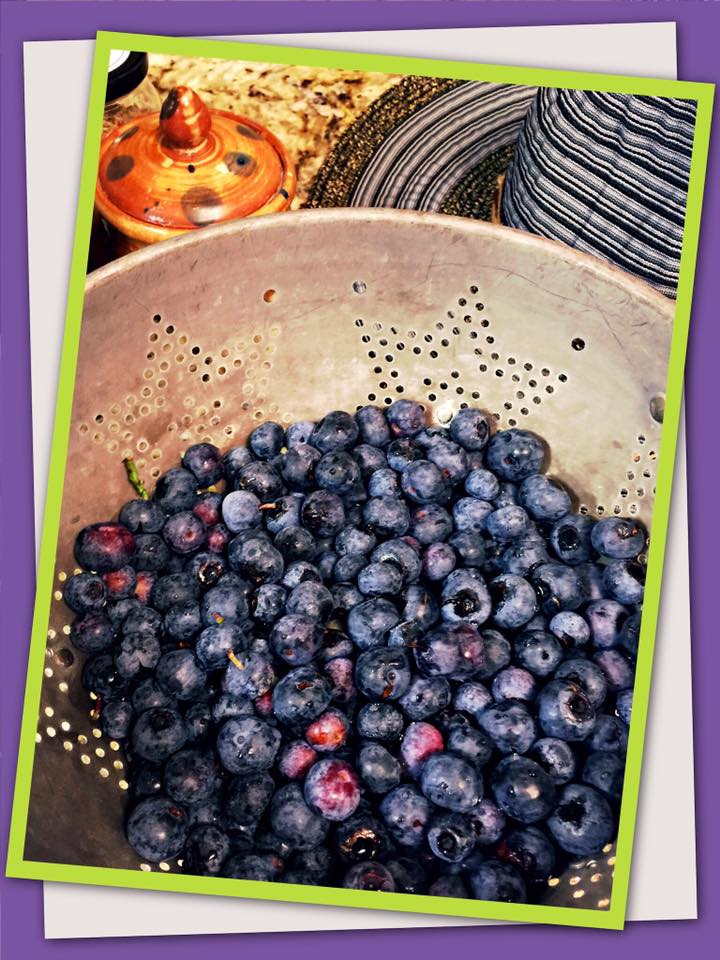 DyslexiaEdUSA's tweet photo. #urbangarden blueberries grown on campus! Free food for #jacksonville kids! @DuvalSchools families stopping by to pick! #FUN science lessons https://t.co/rbKvCkHekK
