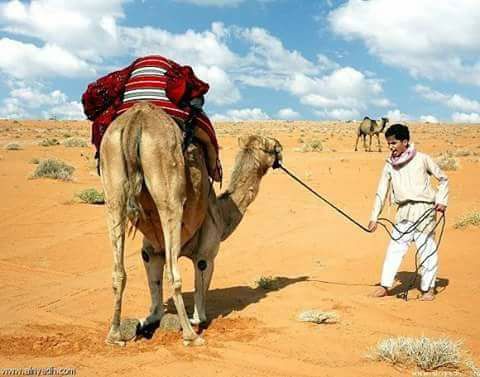Mostafa78440593's tweet photo. إن اقبلت خيط الحرير يقودهي
وإن ادبرت عيّت حبال المراكب❗ https://t.co/lQDAXbOmAK