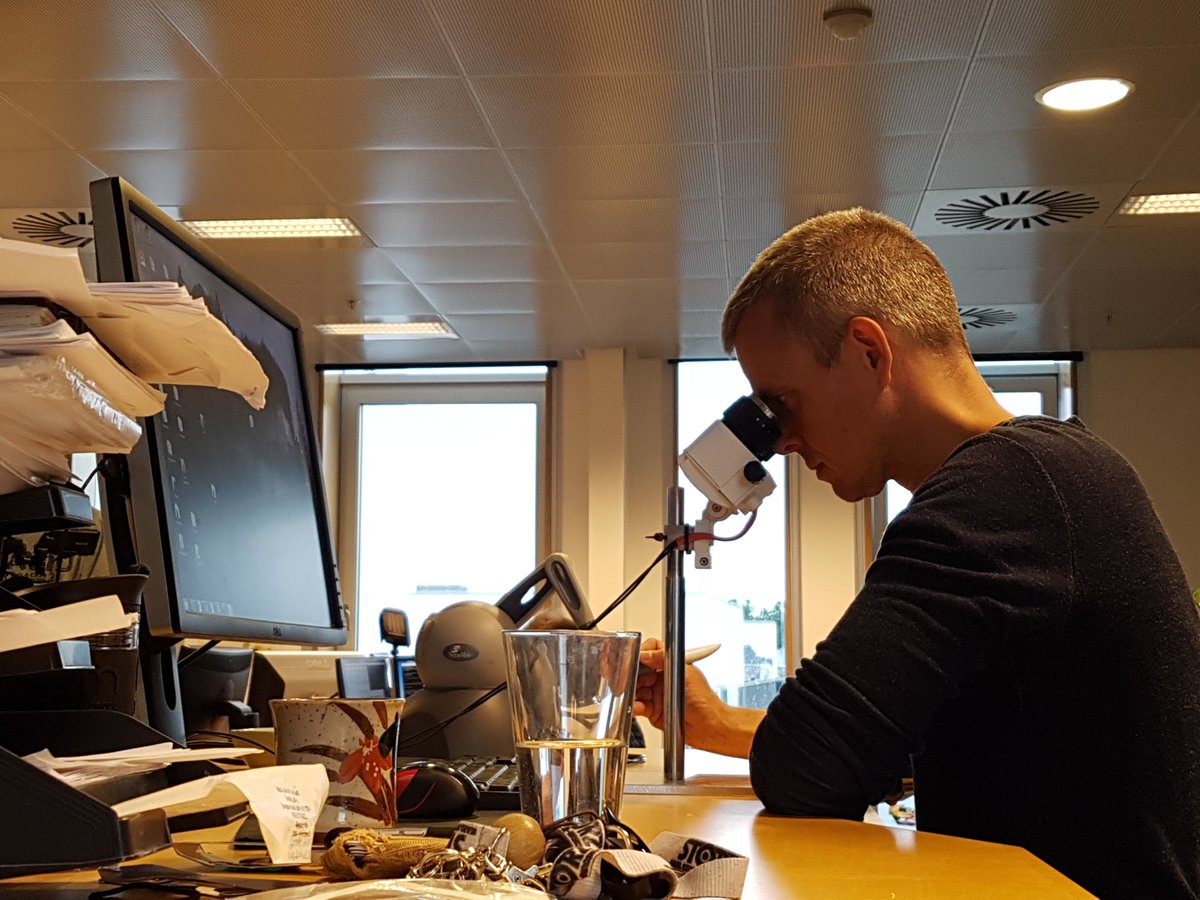 mosegaard's tweet photo. We connected the #ArriScope for surgical microscopy to a PC for high-end VR training beyond the usual HMD's #OculusRift and #HTCvive. #VR https://t.co/4bfUBgiyJS