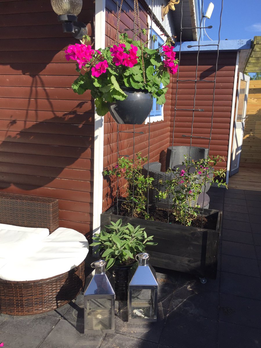 TonnyClausHertz's tweet photo. To long time since a Tweet. Now life is all about #summerhouse and #gardening #BasseBo #Valbyparken #Denmark #Bergmannshave https://t.co/LCIR8Rq28r