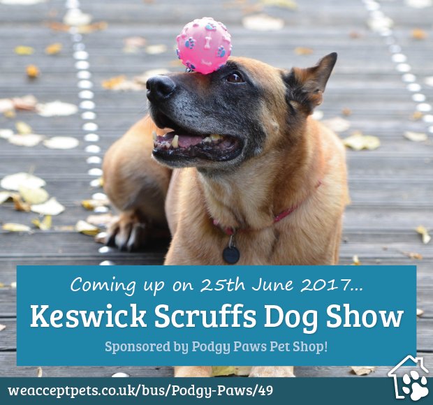 We Accept Pets tweet media