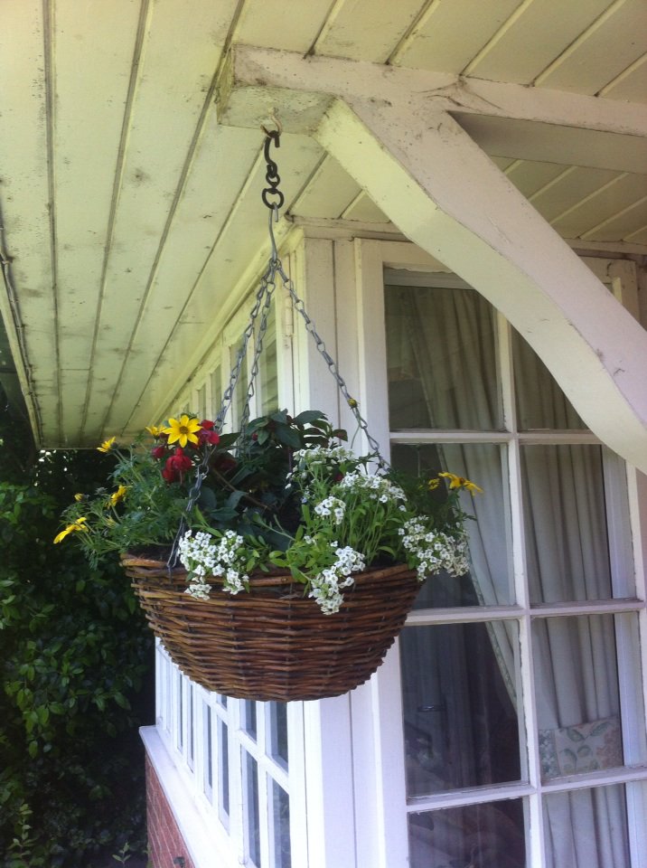 PimmsandNeedles's tweet photo. My hanging basket is looking lovely in the sunshine, it was so fun making this at our Darlington meeting🌸 https://t.co/dPnTm72BOr