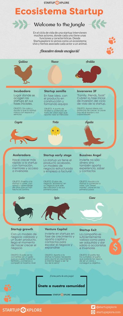 AppGoodService's tweet photo. Ecosistema de una #startup. Un #infografia/ infographic vía @Startupxplore y @Pinterest. Muy interesante #emprendedores #lanzaderadespega https://t.co/tRQDmswHc0