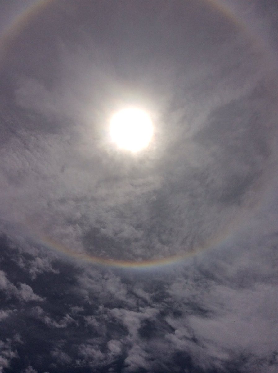 TBS Year 7 tweet media