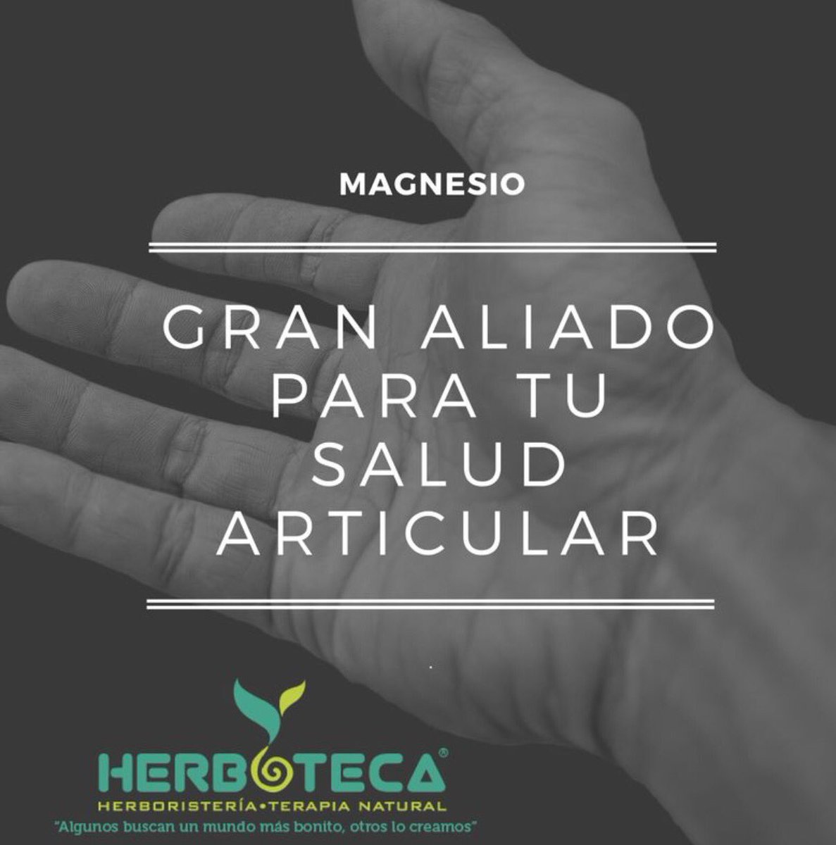 _herboteca's tweet photo. #magnesio #articular #salud #herboteca #sevilla https://t.co/o0riDyEO25