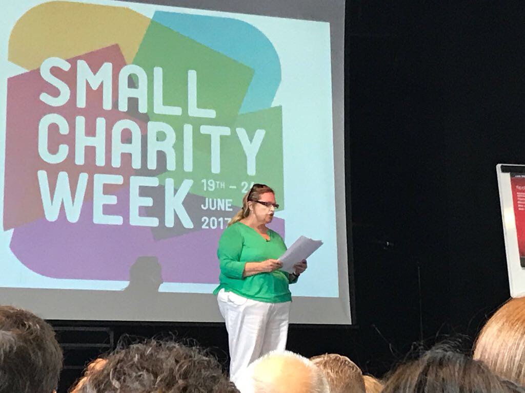 Pauline Broomhead Founding CEO of <a href="/TheFSI/">TheFSI</a> talks small charities #smallcharityweek @SCWeek2017