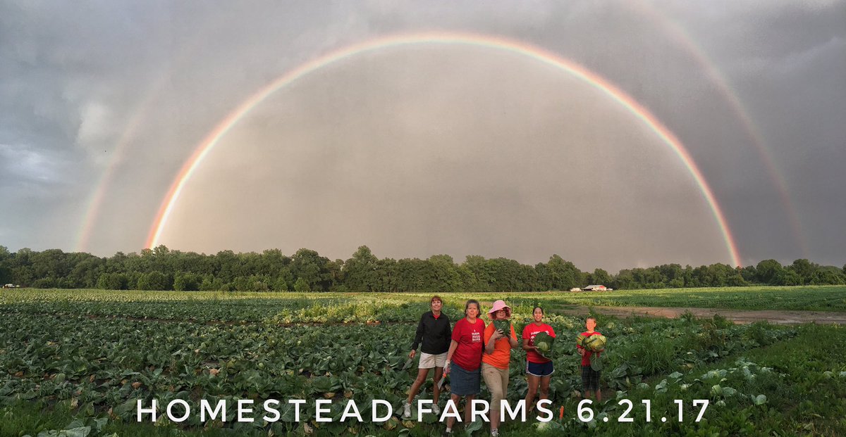 mdjdfarmgirl's tweet photo. Most gorgeous night ever gleaning cabbage for the @MDFoodBank!  Had to endure the storm to enjoy the rainbow! #farm2foodmd https://t.co/9cCzTDFtsK