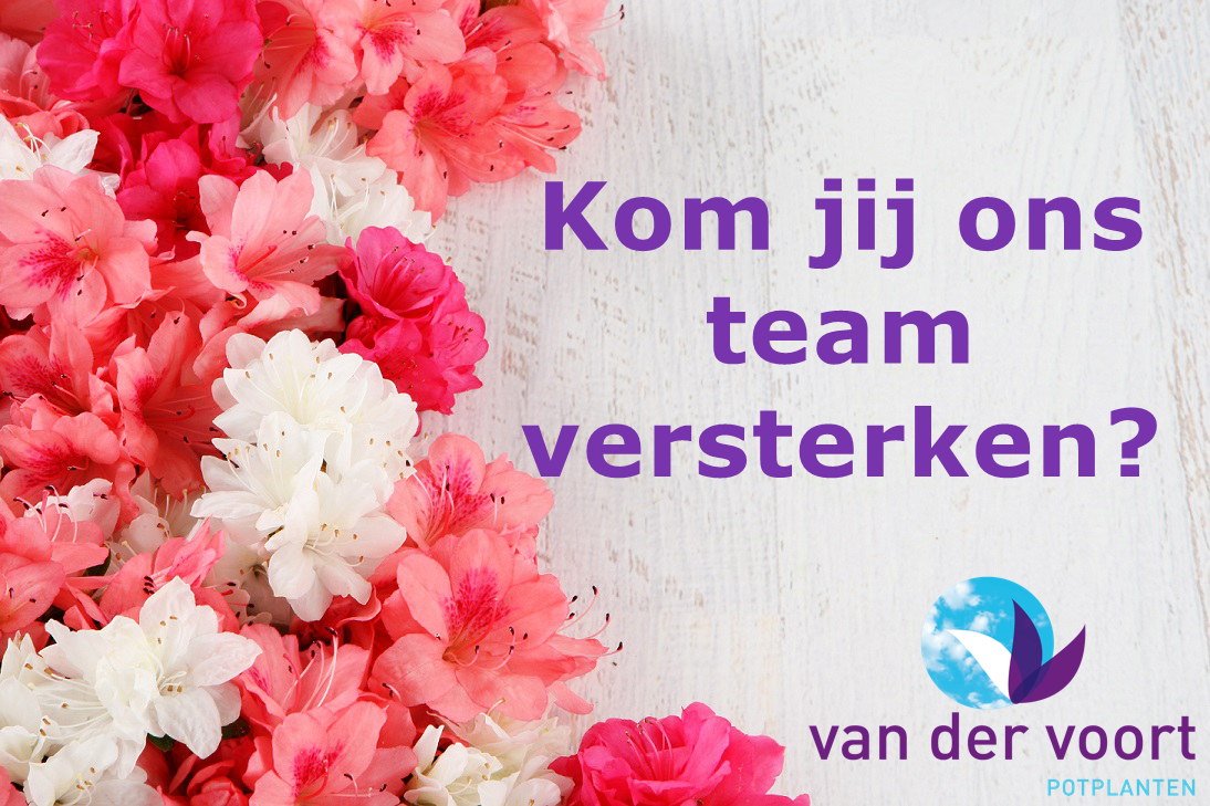 voortpotplanten's tweet photo. #Vacature voor een commercieel productspecialist! 
Ken je iemand of is dit wat jij zoekt? Leuk! #solliciteren! https://t.co/XFZQPJ1Ydt https://t.co/ODi8OcexV8