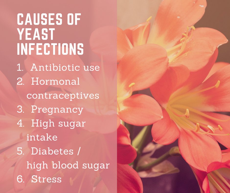 Did you know that when yeast infections reoccur, we actually need to treat the gut? Full article by <a href="/drshawnadarou/">Dr. Shawna Darou ND</a>: darouwellness.com/yeast-infectio…