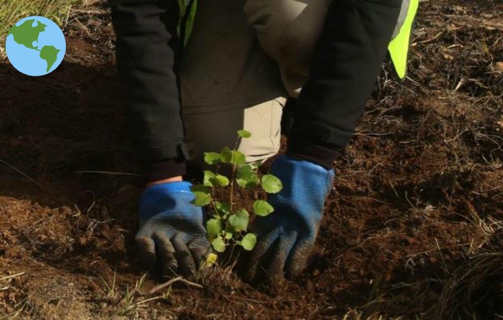 FallingFood's tweet image. When you plant a #tree
You plant a hope
So keep planting
#FruitTreePlanting
#GreenPakistan
#FallingFood 
#FreeFood