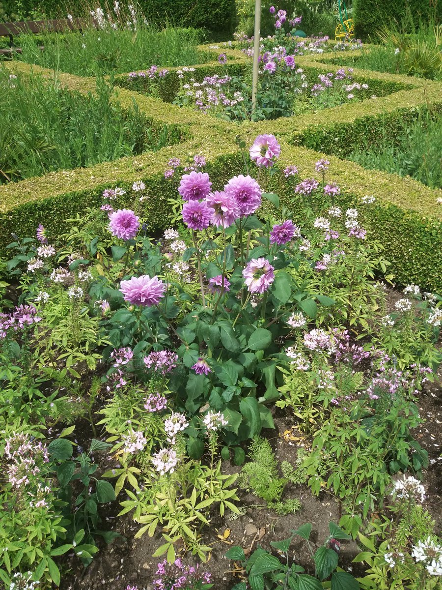 EmmaJanesLife's tweet photo. Lovely time at the #park
#HomeEd
#Nature
#Outdoors
#Autism
#LearningTheirWay
πππ https://t.co/Q0VWTsxXxB
