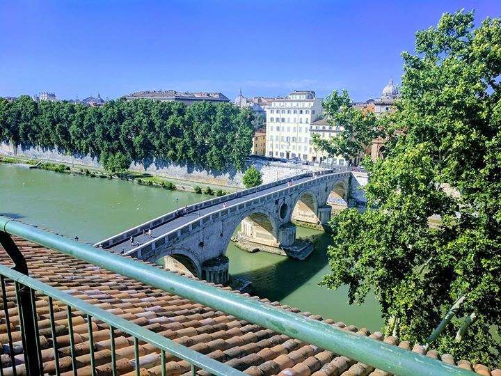 romeloft's tweet photo. #trastevere #rome #summer #bestviews https://t.co/I06FtXDFDg https://t.co/aguGfPoCMm