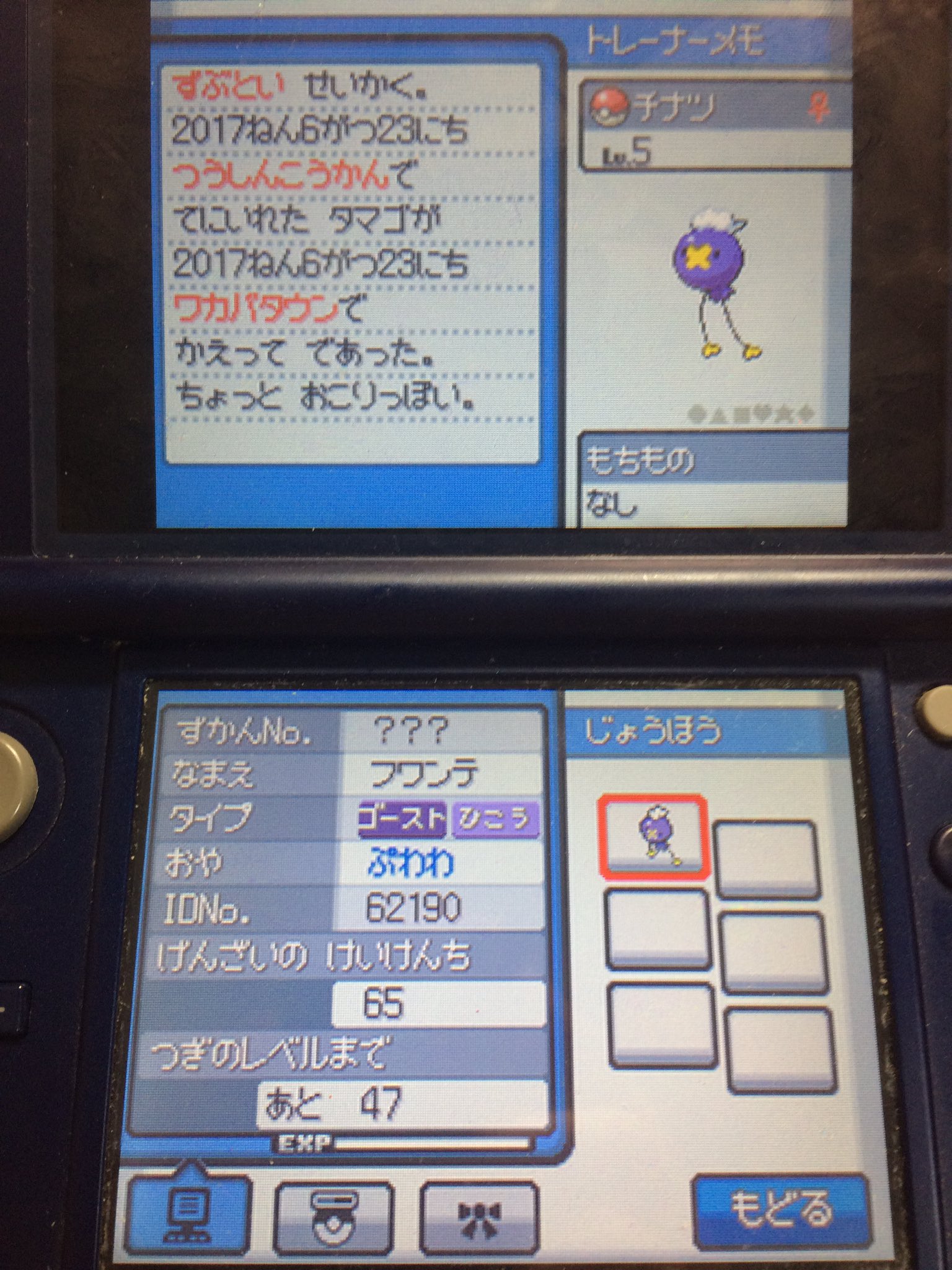 ポケモンハートゴールドフワライド単騎縛り Twitter