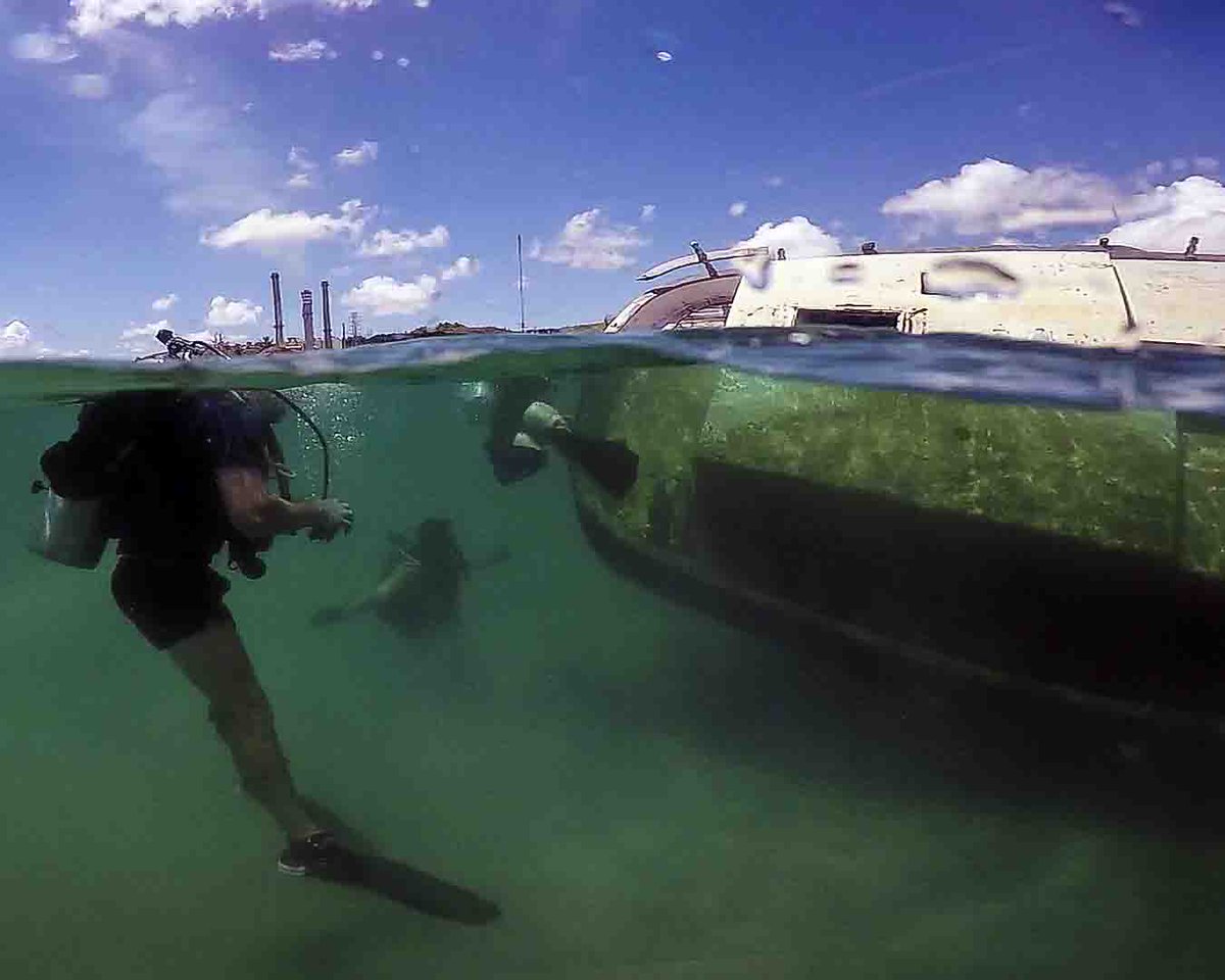 jodi_mohrmann's tweet photo. #CoolPix! #Divers remove 2 submerged sailboats & an automobile around Guam during #Diving Exercise 2017 #Navy #WPNS #NAVFAC #MSDU #EODMU https://t.co/KFYIPRAKTi