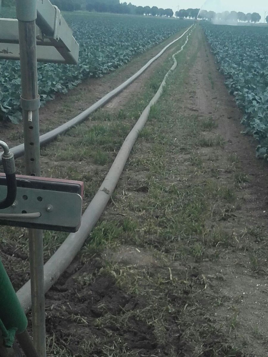 We believe the heat has made the irrigation team a little crazy, as they took the task 'double capacity' a bit too literally....#magic?