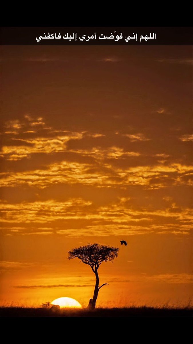 ريما بنت طلال (@rima_talal) on Twitter photo 