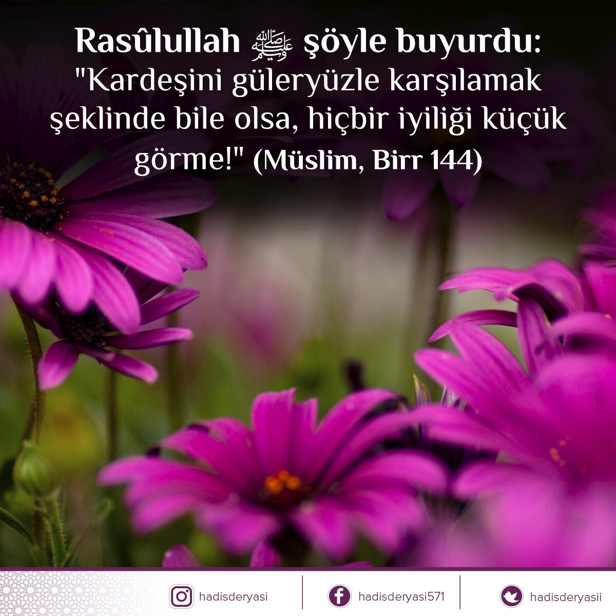 Rasûlullah ﷺ şöyle buyurdu: "Kardeşini güleryüzle karşılamak şeklinde bile olsa, hiçbir iyiliği küçük görme!" (Müslim, Birr 144)