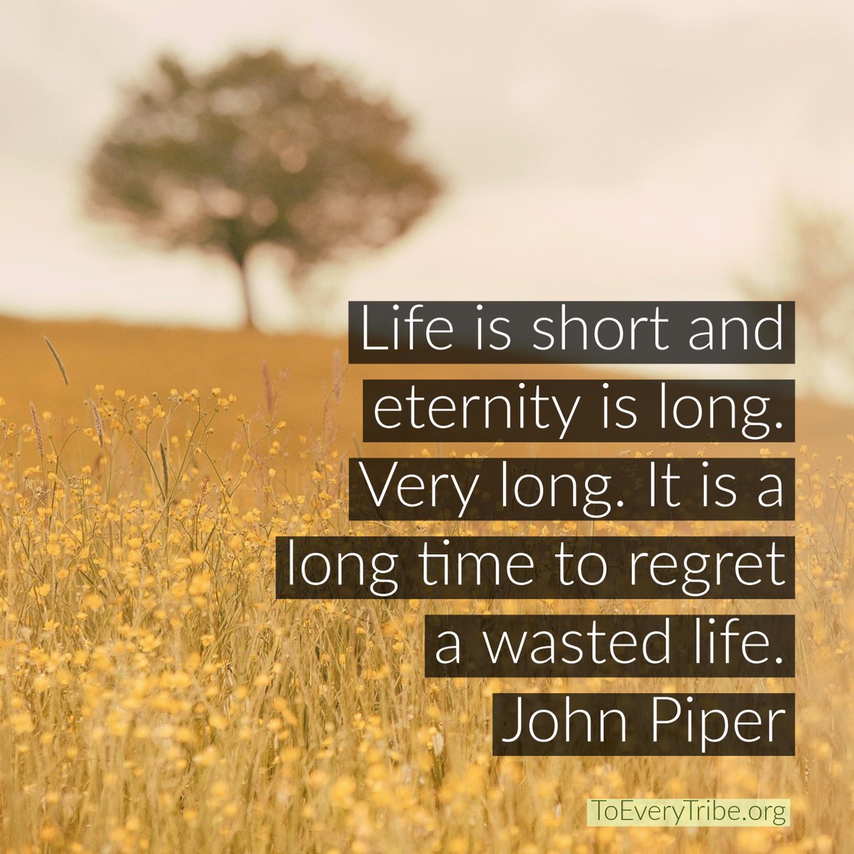 ToEveryTribe's tweet photo. “Life is short and eternity is long. Very long. It is a long time to regret a wasted life.” #JohnPiper #DontWasteYourLife #PrayForWorkers https://t.co/H6ZartBd7I