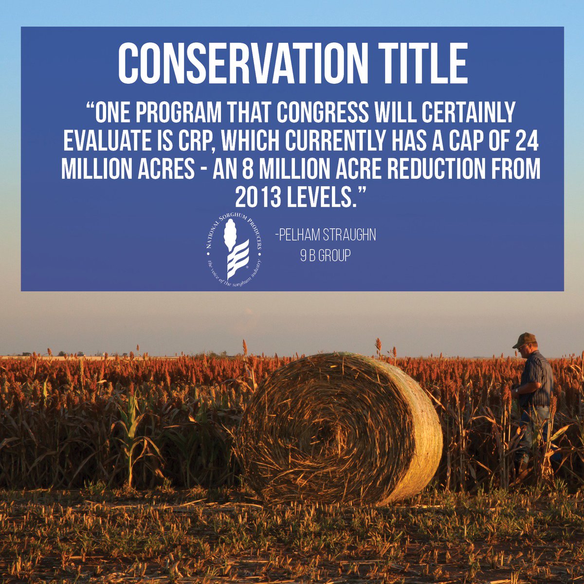 SorghumGrowers's tweet photo. "Conservation and sorghum go naturally hand in hand." Read about #ConservationTitle in the spring #SorghumGrower: https://t.co/62DNrcX8jO https://t.co/iaBUkwHjxg
