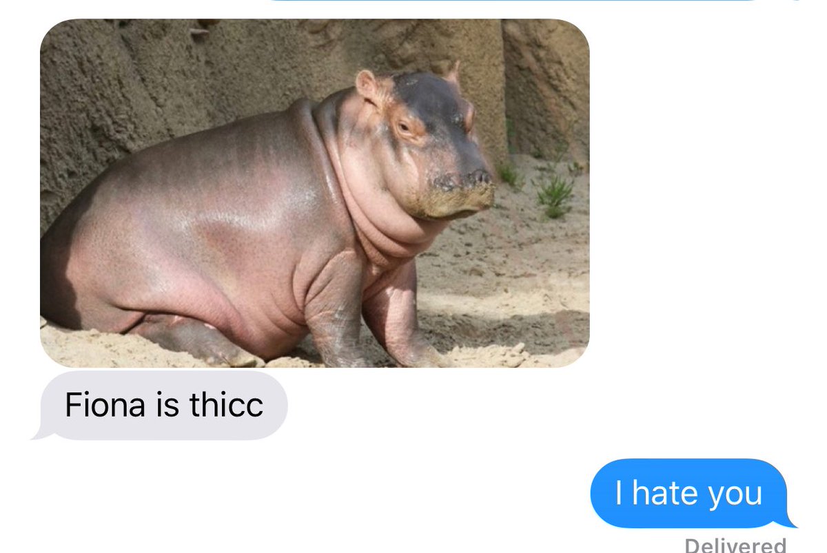 AngieMae96's tweet photo. I like to think I can have intelligent conversations with my friends but then @Bun_14 send me this #WhoThinksOfThis https://t.co/eaWPHEHH4B