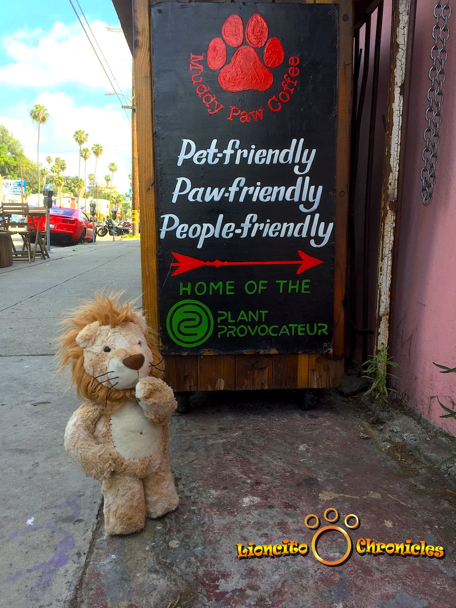 LittleLioncito's tweet photo. Sometimes it’s hard to find friendly people, and sometimes you just have to look for a sign. Lioncito was surprised. The Plant Provocateur https://t.co/B1XIYhrOED