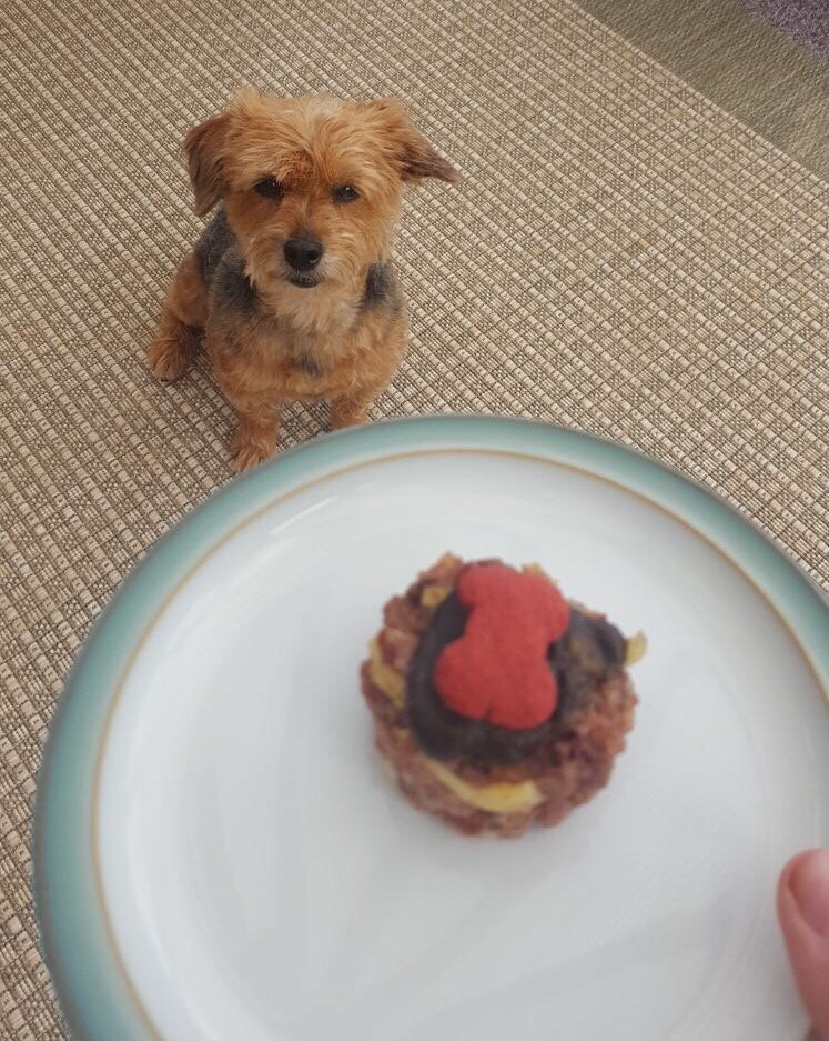 Christine_Emb's tweet photo. Cake time! #bellafame https://t.co/att3vbFQ8G