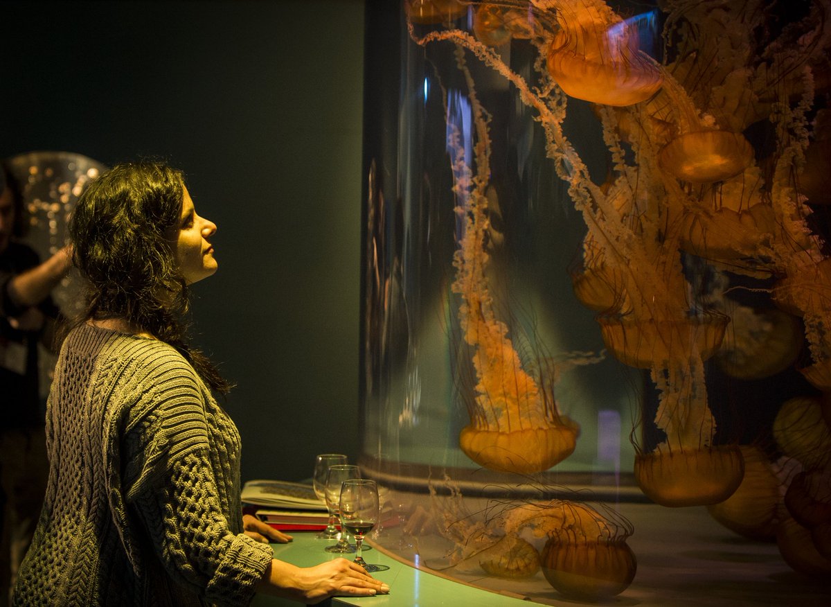 pdwproductions's tweet photo. We search for unique settings to provide you with an engaging special event #TED2013 #PDWwecreateworlds 📷 M.Brands @AquariumPacific https://t.co/DnhpHX0iBJ