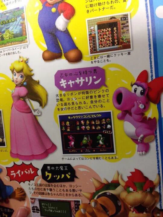 こいつ男だったのかwwマリオのキャラクターのキャサリンが女ではなかった！