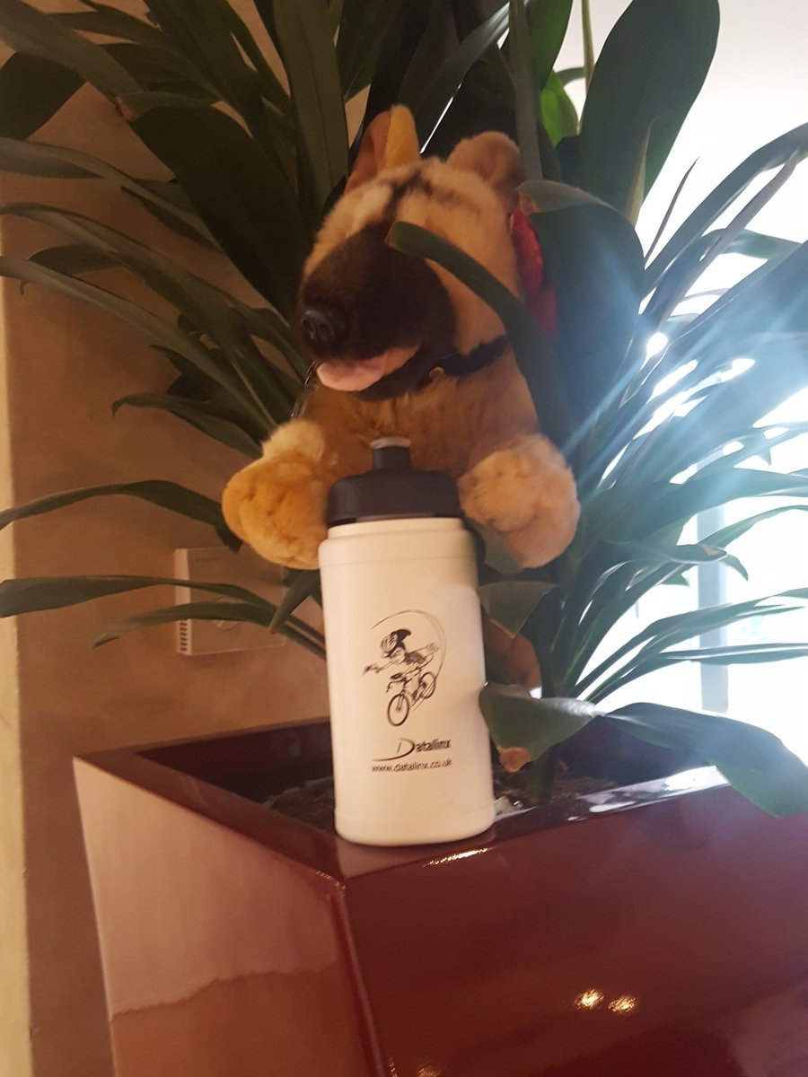 Datalinx_Colin's tweet photo. @ZoeYoungUK #CreditHound looked thirsty so I gave him a drink in a @Datalinxltd bottle. #DatelConnect https://t.co/VKDD0hptPP