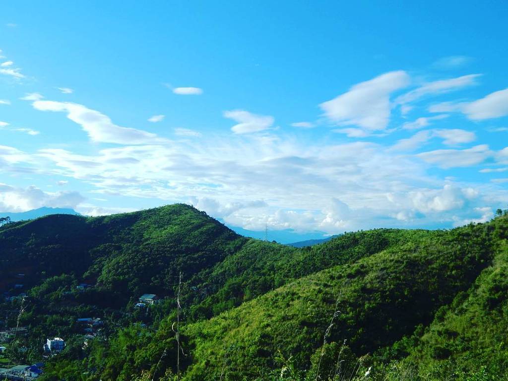 BeansofJo's tweet photo. Blue sky above, and the gift of nature below. When I am blessed to have the chance to be closer to nature and its beauty.

#nature #naturev… https://t.co/FwdwqkpB7o