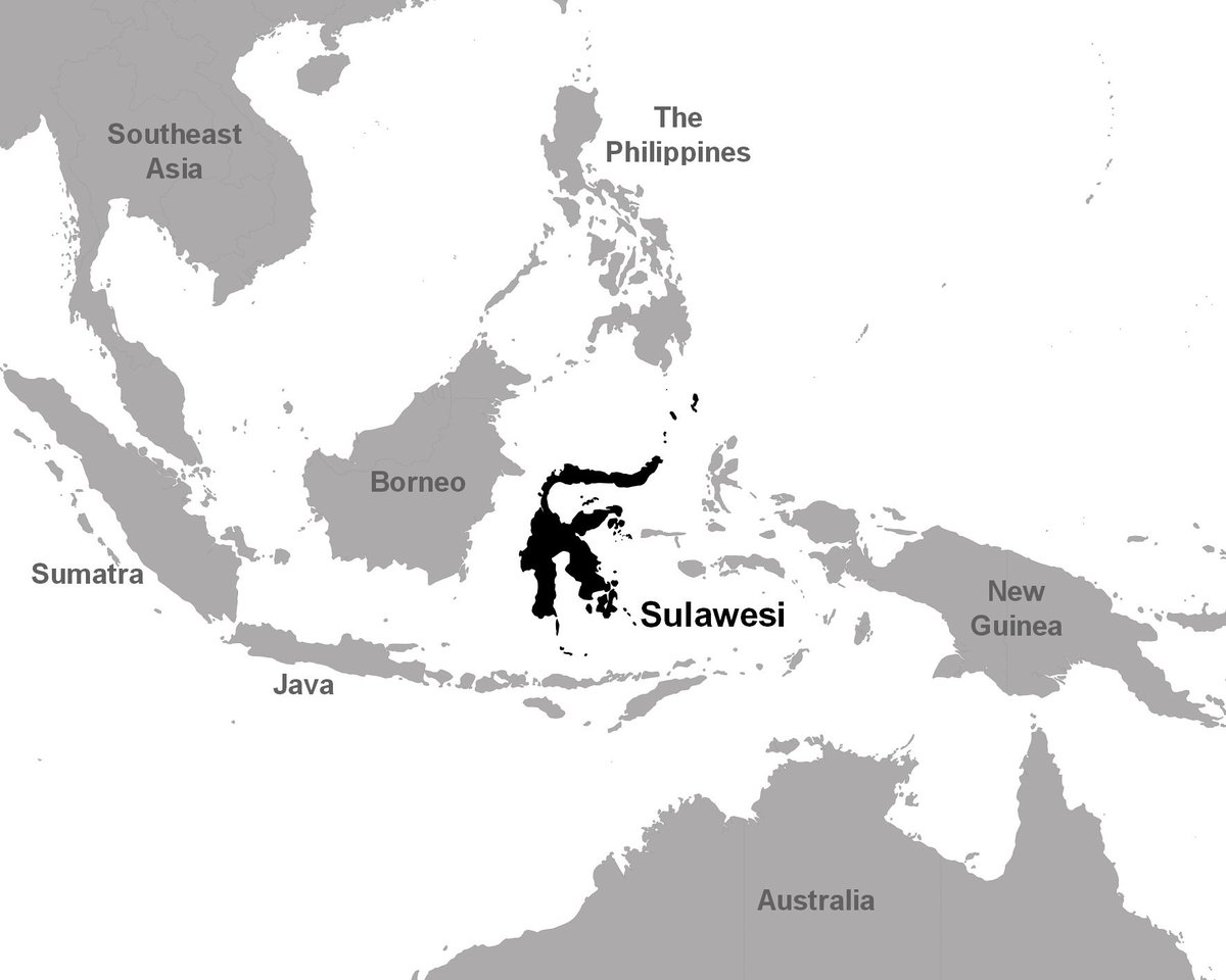 PhytoKeys's tweet photo. We probably only currently know around 13% of Sulawesi’s real #Syzygium diversity https://t.co/wRXG2EAXrO Story by @mongabay @mikeg2001 https://t.co/y8dfVlEQ3V