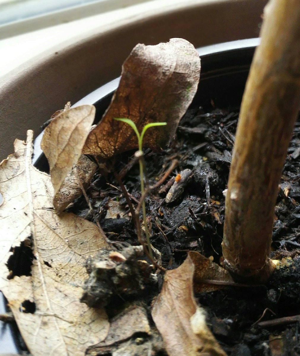 heimercore's tweet photo. Hey lil dude, welcome to the world >>> know, i know its fucked up https://t.co/4kwSrc5QJ7