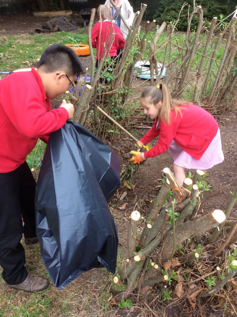 MissPulleyn's tweet photo. Amazing work from our wonderful children this lunchtime! #schoolcouncil @BPSinBloom @BPSinBloom @BoothferryPS https://t.co/X9dfIRQmy3