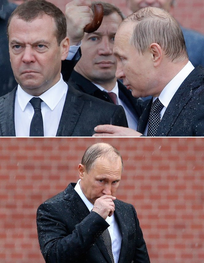 Плешивое чмо и говорящая голова медведева сегодня. Фото реальные