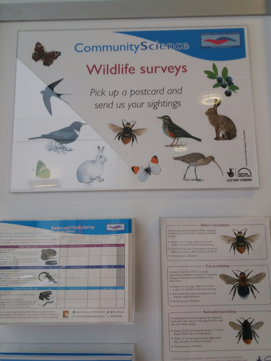 hopecement's tweet photo. @moorsforfuture. Data survey recording forms available in Hope's reception. For more info visit https://t.co/ON83zYezyW #communityscience https://t.co/GqiQjiKoEq
