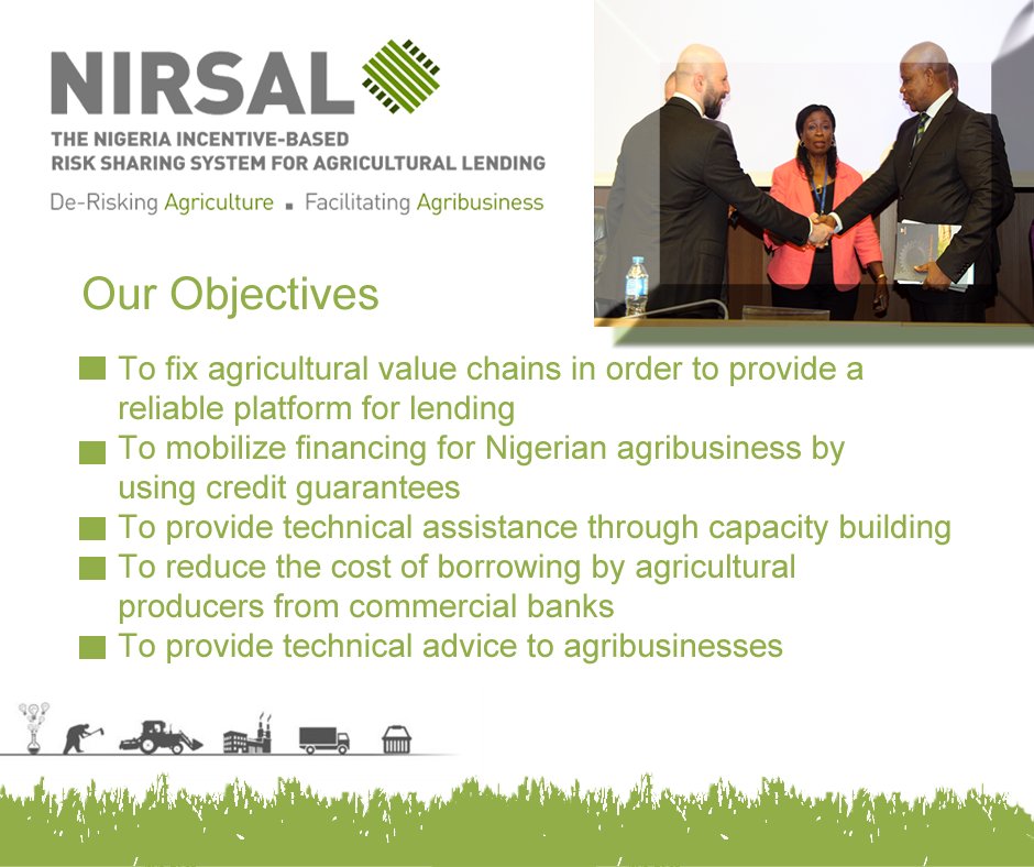 Image result for NIRSAL