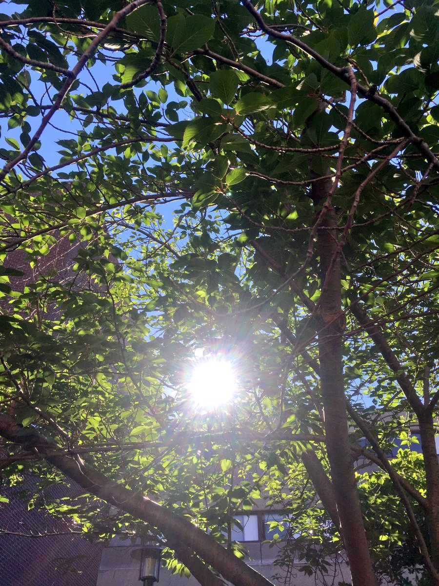 LUOLAddyM's tweet photo. Good morning! May we feel peace and hope today! May we lead with compassion! May we be our best selves! Love and light! https://t.co/ip0UXHxDmI