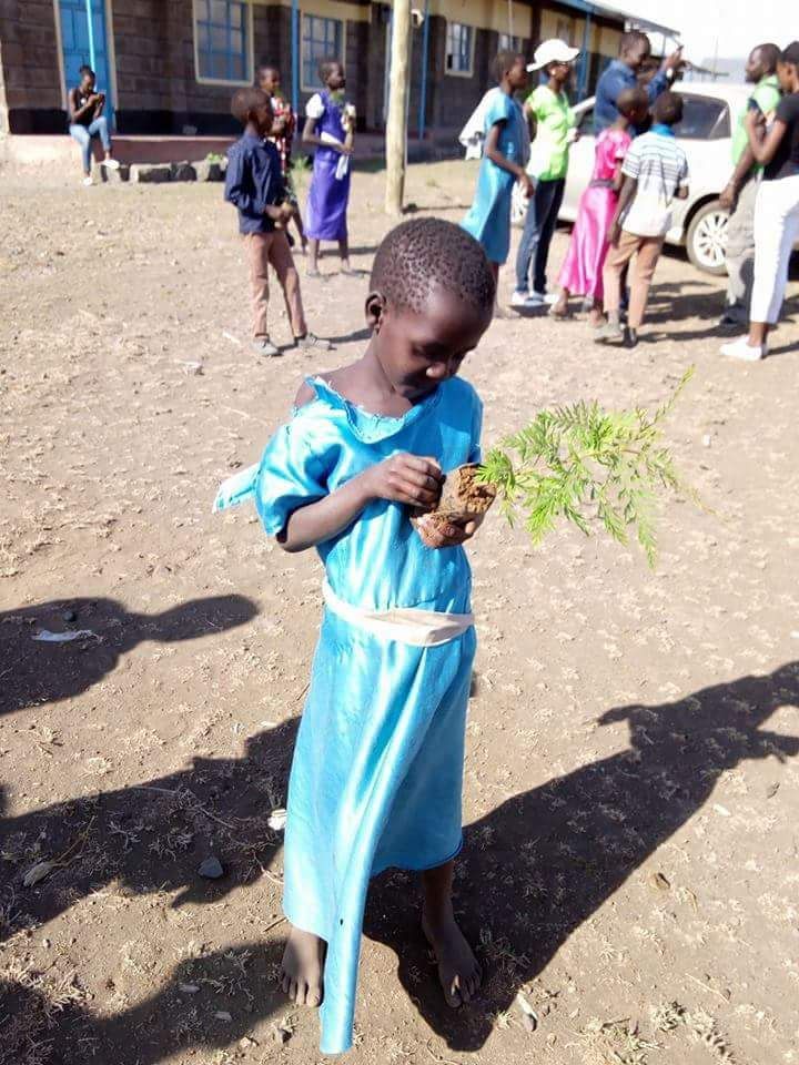 realreliefway's tweet photo. Celebrating #MHDAY2017 by planting trees in schools in #Kenya. #environmentallysafedisposal #menstruationmatters #safepad #sanitarypads https://t.co/dF8ZiJT0zJ