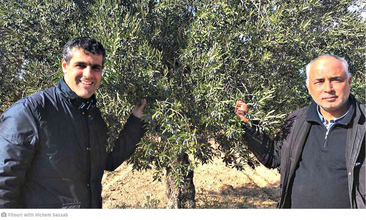 Congratulations to Karim Fitouri of Olivko for his Gold Awards at New York International Olive Oil Competition oliveoiltimes.com/olive-oil-busi…