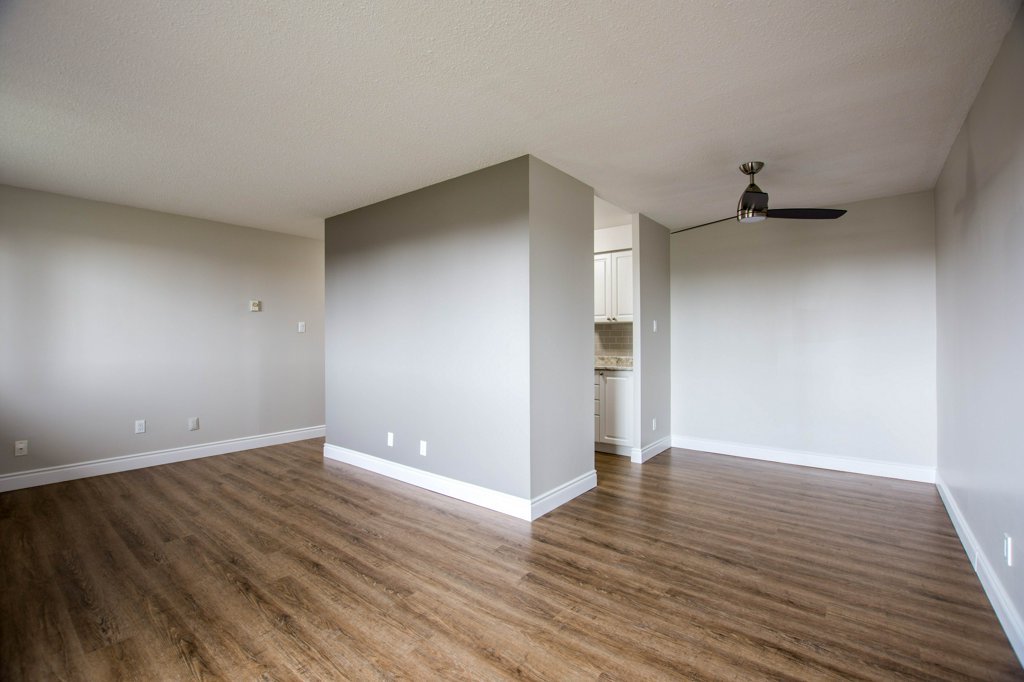 Melchior Management tweet media