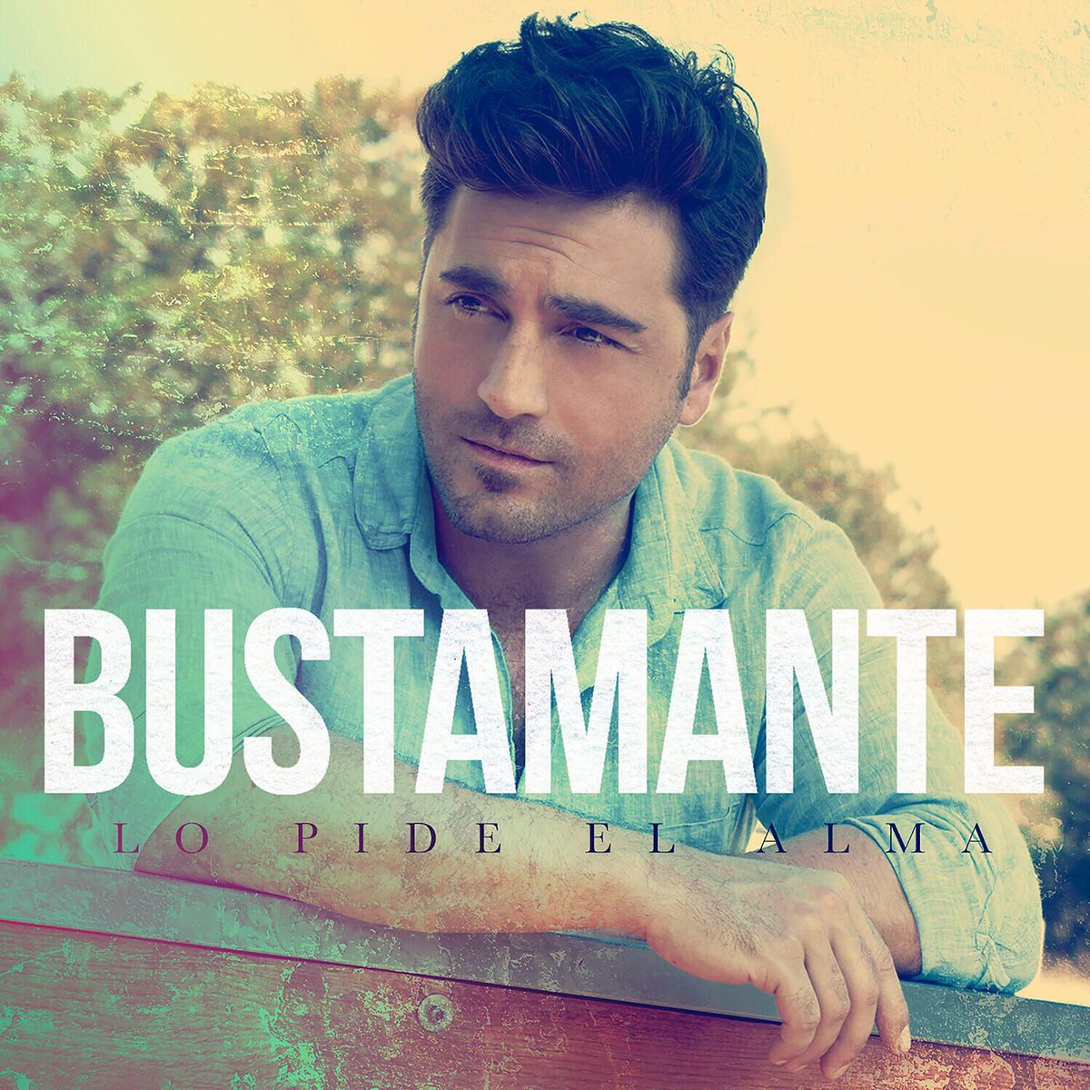 Bustamante tweet media