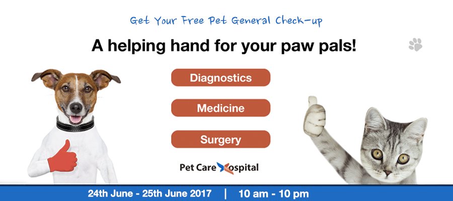 Pet Care Hospital Petcarehospitai Twitter