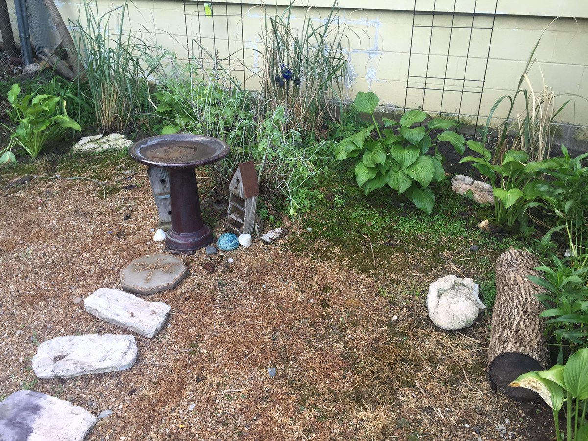 lisamarie22222's tweet photo. A work in progress, first year #butterfly #bee garden #PollinatorWeek #pollinatorhero https://t.co/kGiT3BNqdd